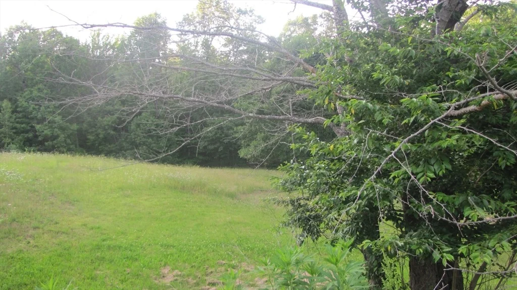 Photo of 67 Luke Rd