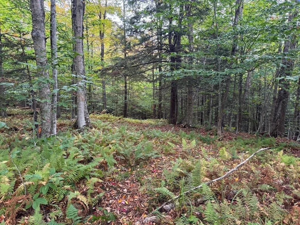 Photo of 60 Stone Hill Road