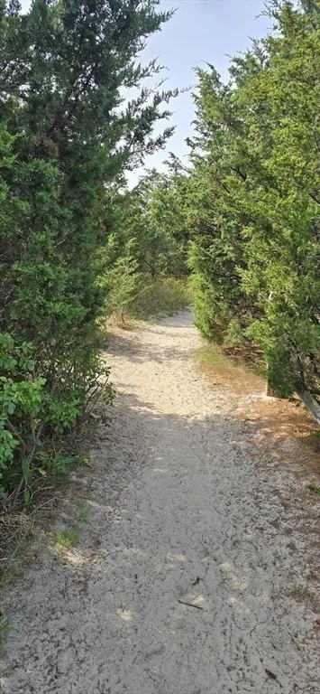 Photo of 59 Bridge Rd