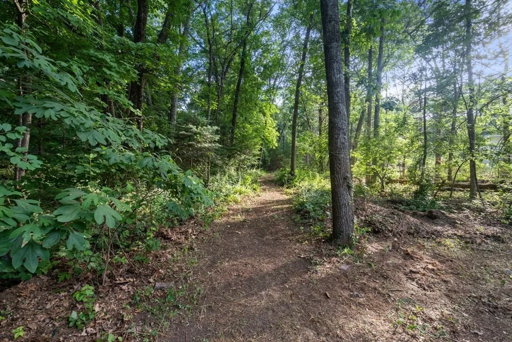 Photo of 2 Whitney Dr