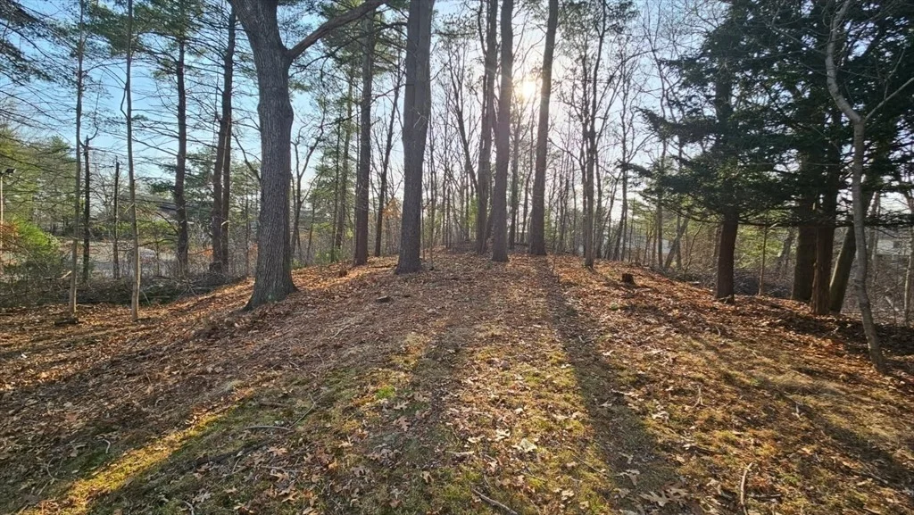 Photo of 21 Shady Lane