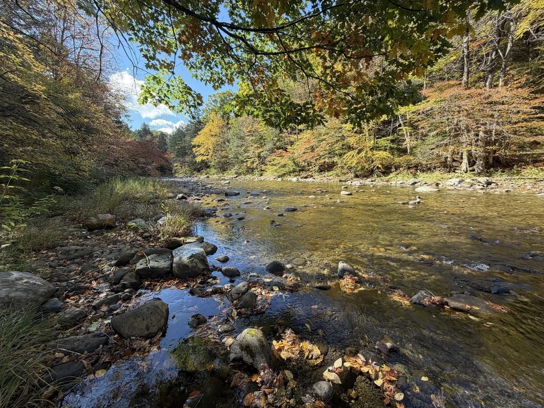 Photo of 232 River Rd
