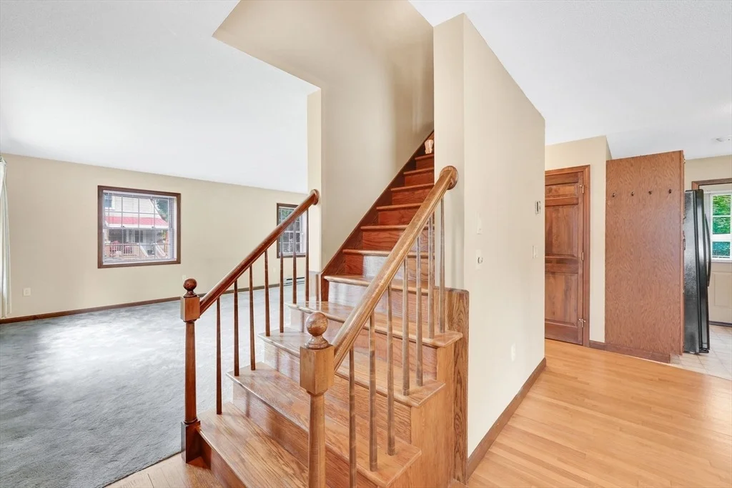 Photo of 24 Sylvia St