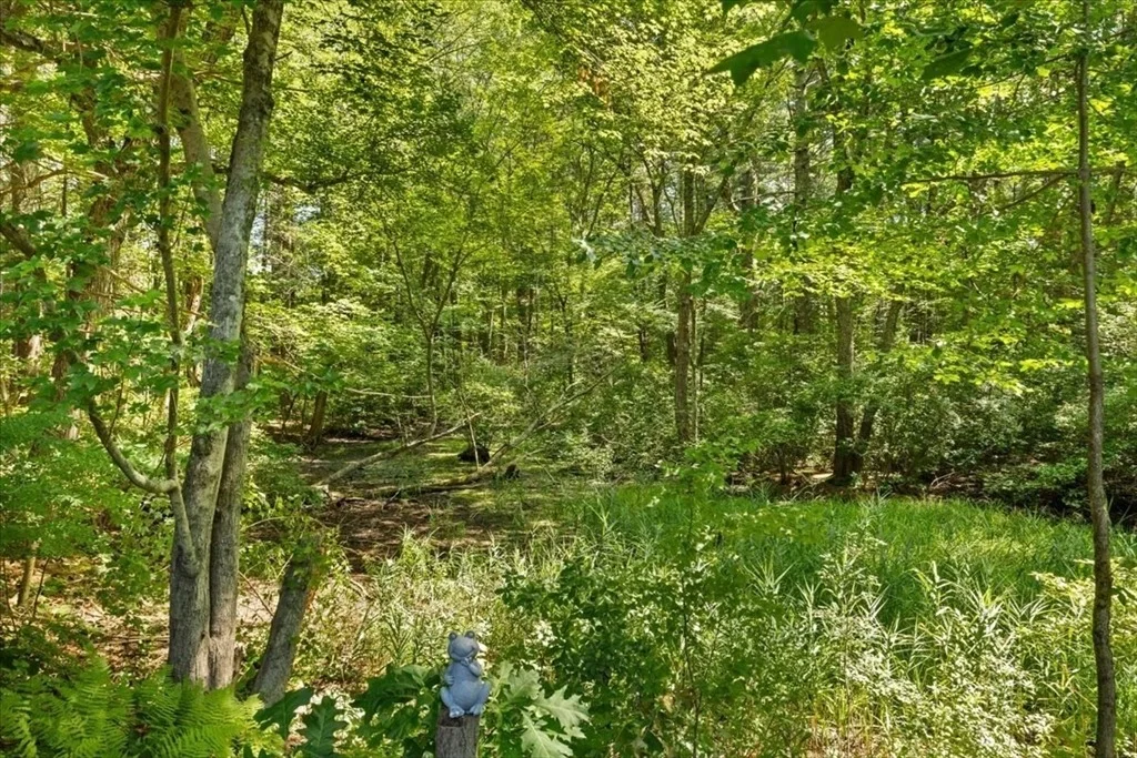 Photo of 20 Feather Run