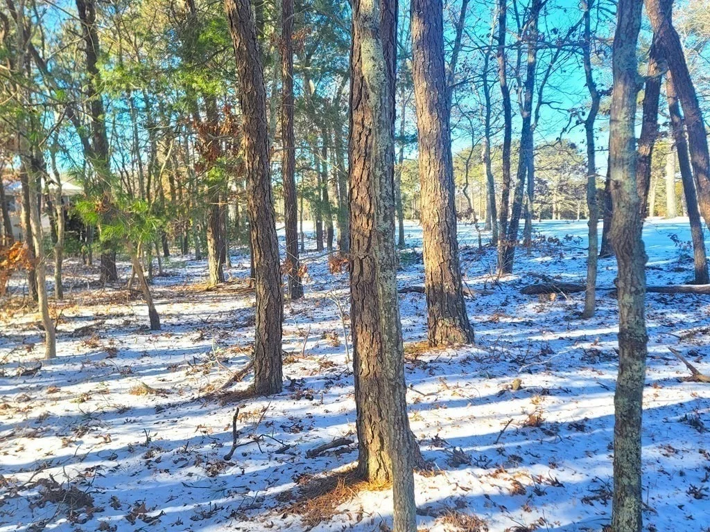 Photo of 30-38 Pleasant Park Dr
