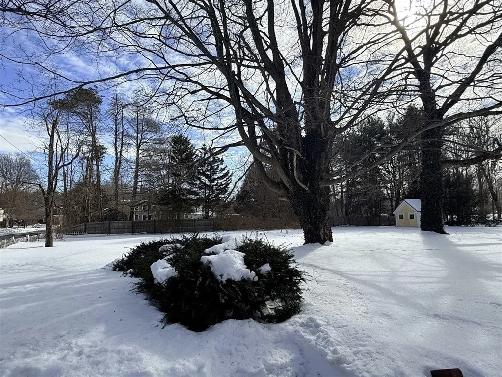 Photo of 8 Maple Street