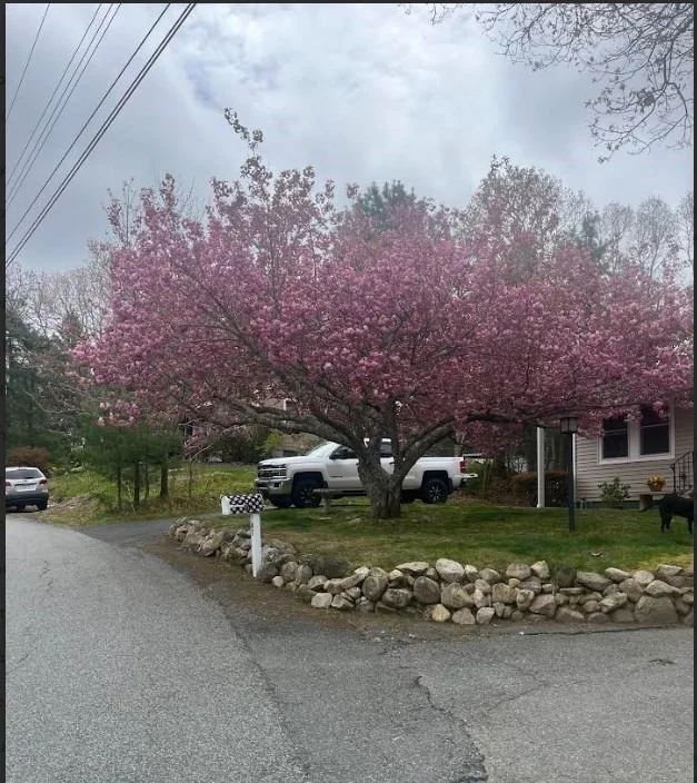 Photo of 47 Cliff Rd