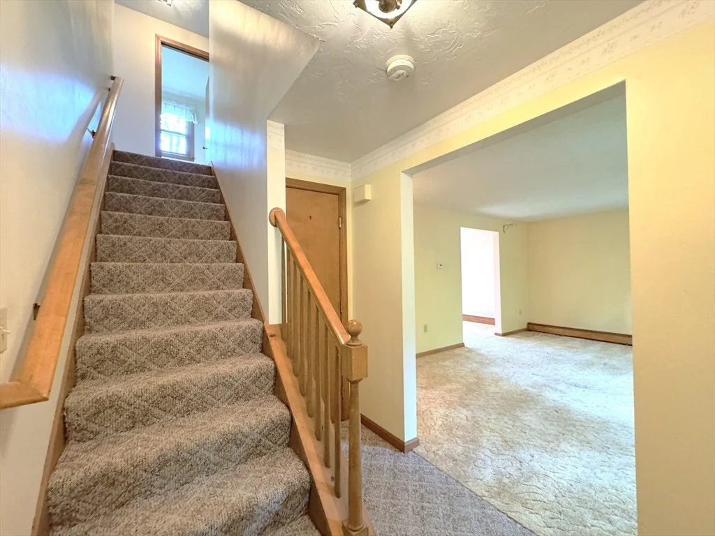 Photo of 107 Douglas Pike