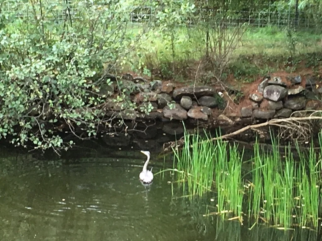 Photo of 30 Little Rest Rd