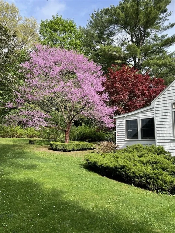Photo of 20 Lee Road