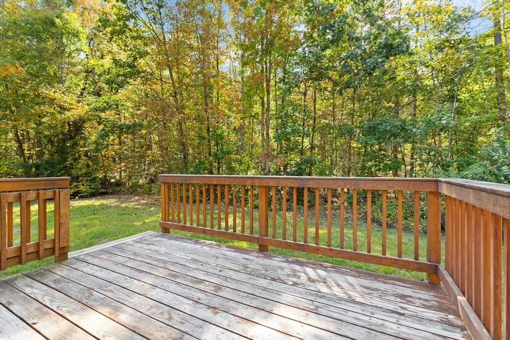 Photo of 31 Shirley Rd