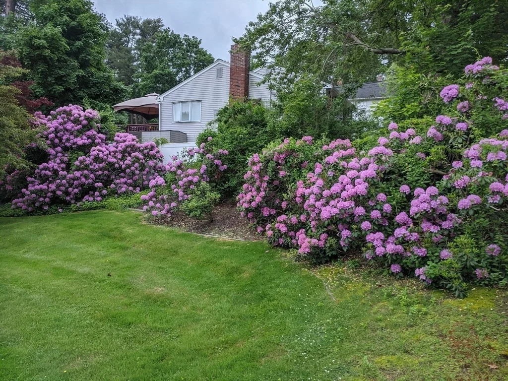 Photo of 5 Paxton Road