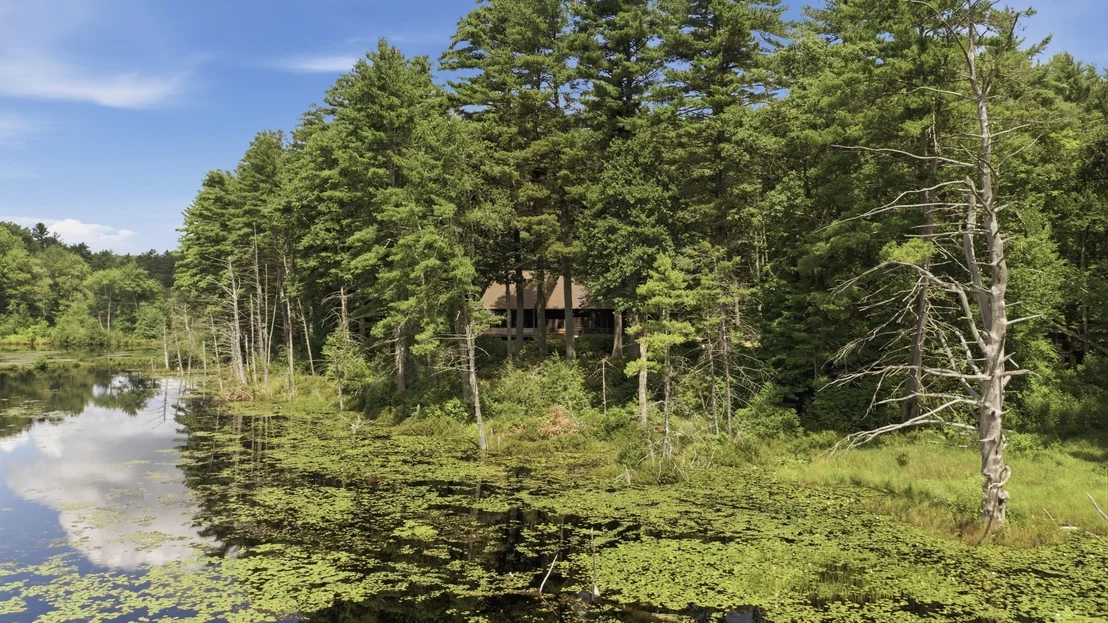 Photo of 488 White Rd