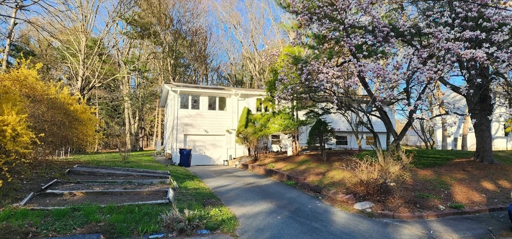 Photo of 48 Spring Ln