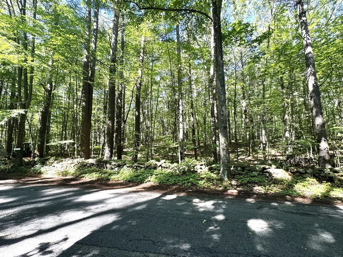 Photo of Lot 2 Daniels Road