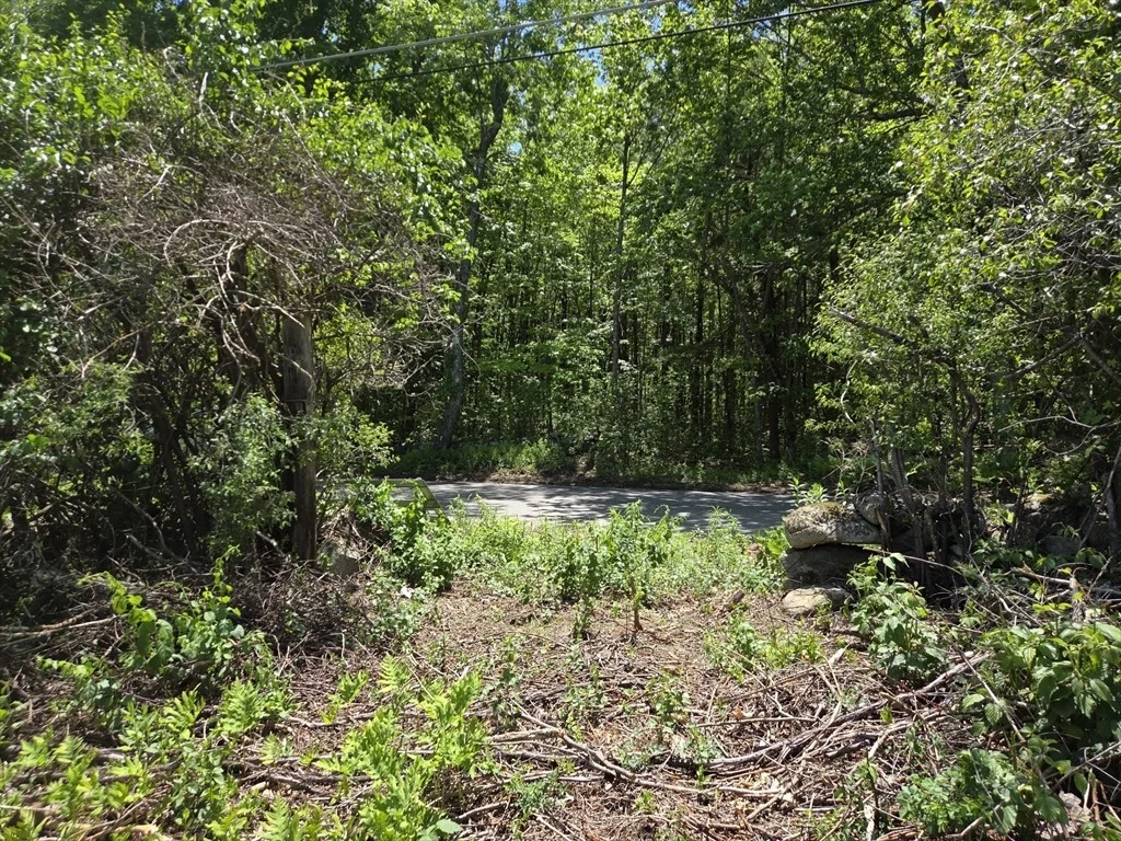 Photo of Lot 12B Willard Road