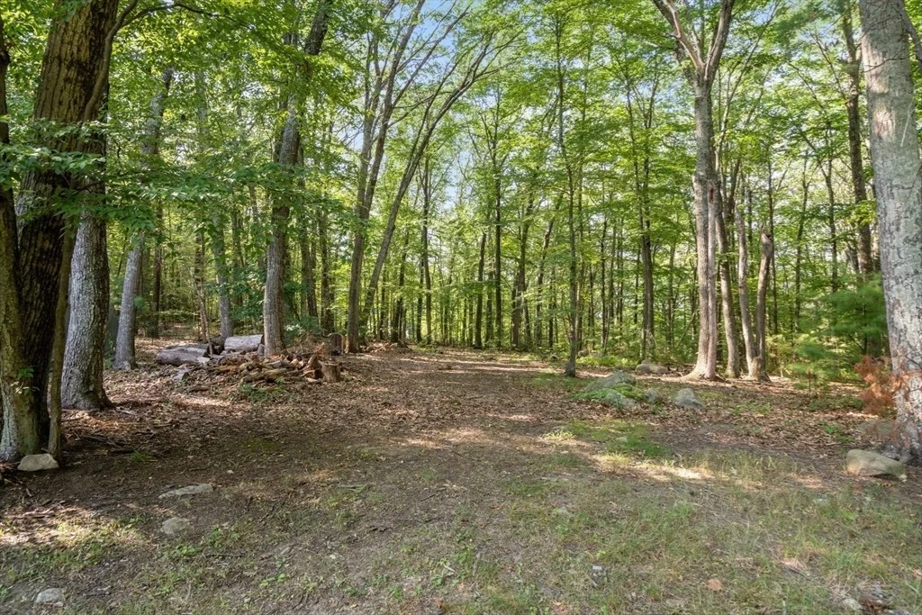 Photo of 116 Murphy Road