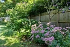 Photo of 80 Pilgrim Road