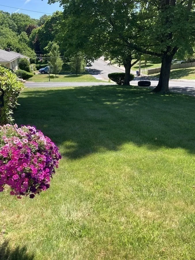 Photo of 132 Milton Rd
