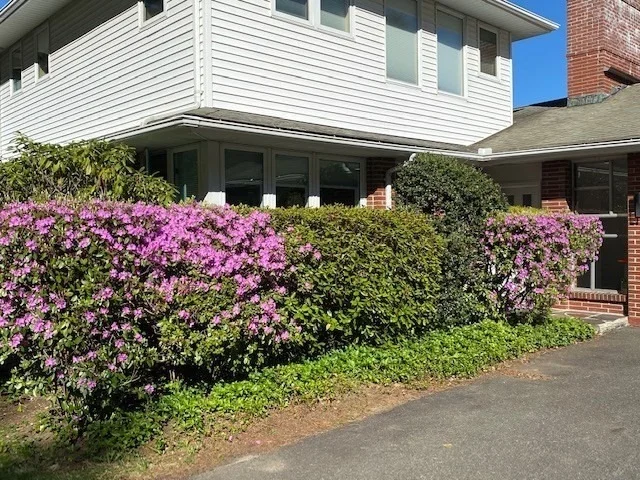Photo of 61 Arnold Rd