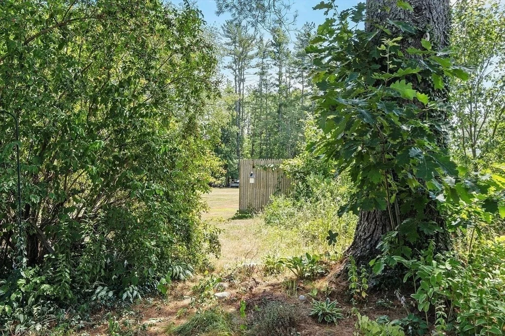 Photo of 31 Pinedale Rd