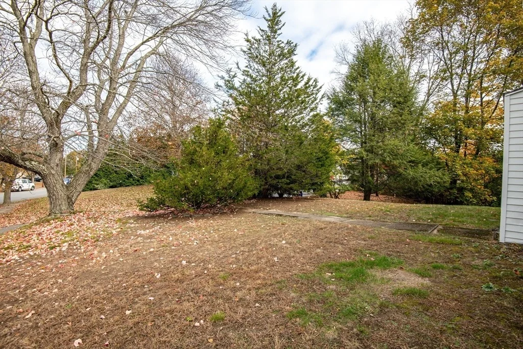 Photo of 405 William Street