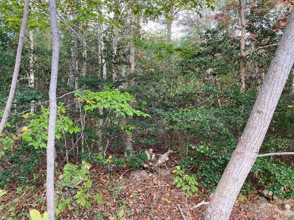 Photo of 93 Deerfield Rd