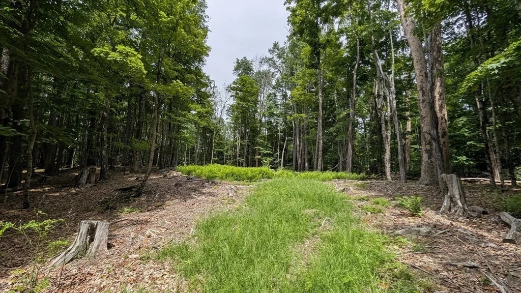 Photo of 951 West Rd
