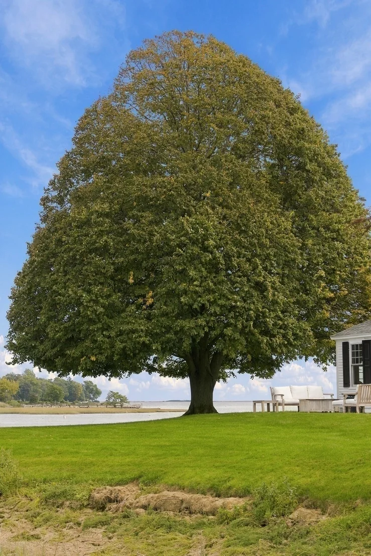 Photo of 44 River Ln