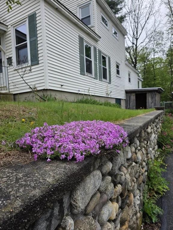 Photo of 123 Wilson Ave
