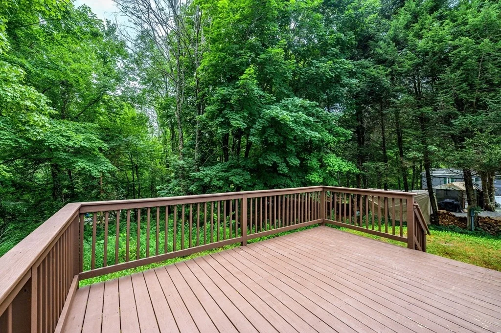 Photo of 67 Willow