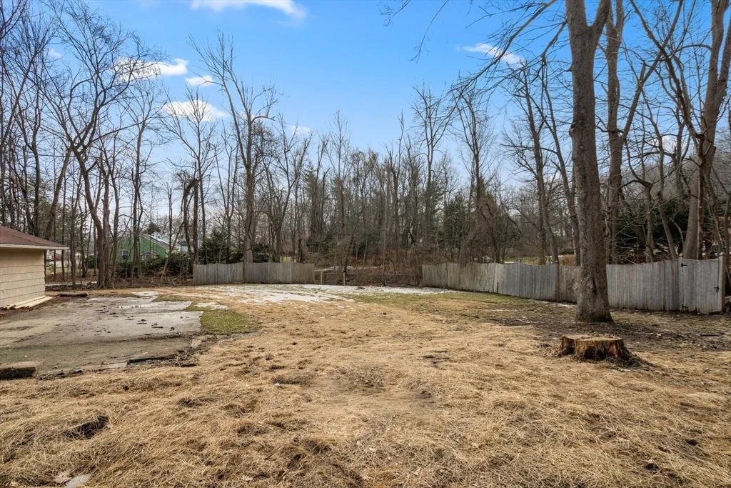 Photo of 3 Mower St