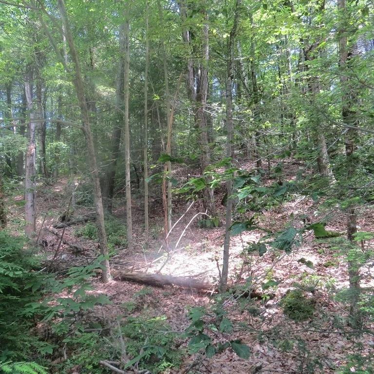 Photo of Lot 1 Pratt Corner Road