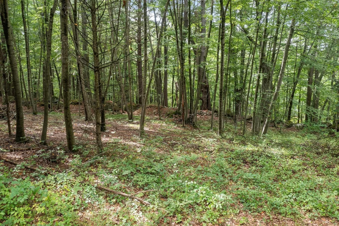 Photo of 276 Middle Rd