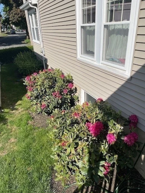 Photo of 32 Lawrence St