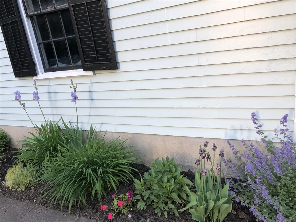Photo of 44 Metcalf St