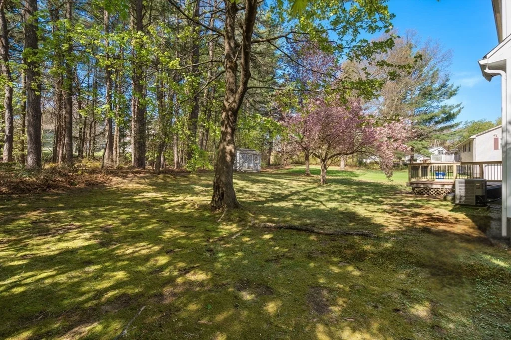 Photo of 16 Picard Cir