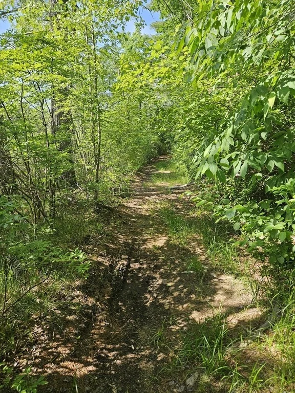 Photo of 0 Branch Bridge Rd