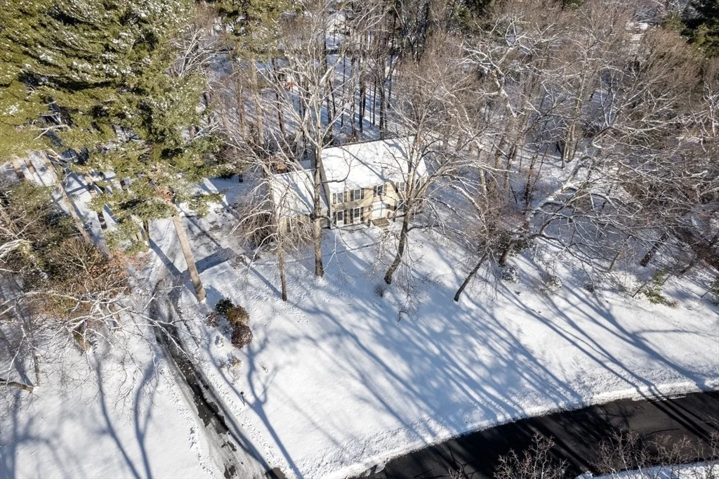 Photo of 40 Shadow Oak