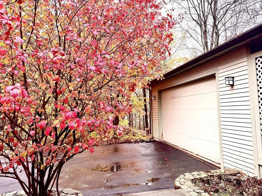 Photo of 84 Davison Dr.