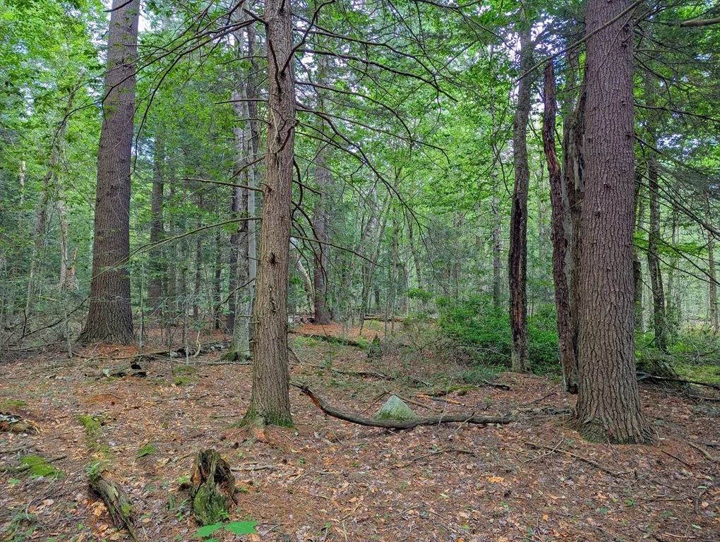 Photo of 0 Hamilton Rd