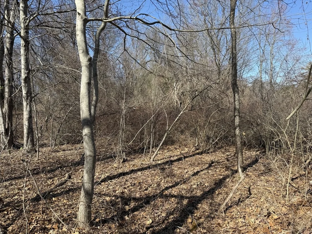 Photo of 277 River Drive