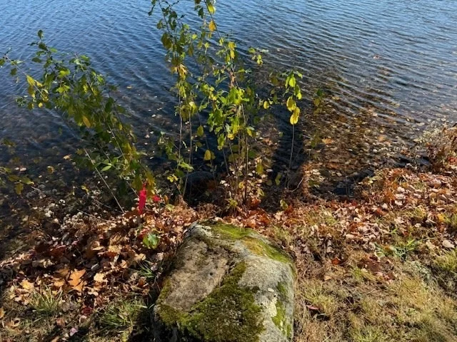 Photo of 130 Paxton Rd