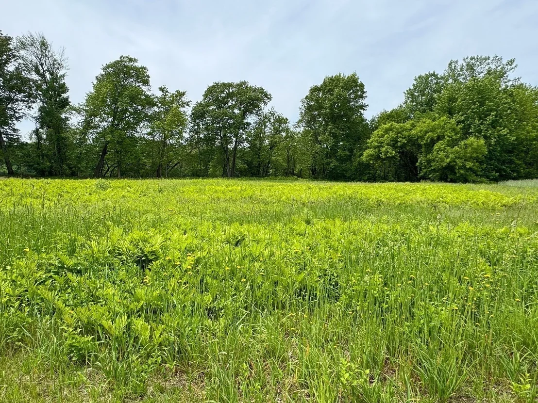 Photo of 0 Meadow Road