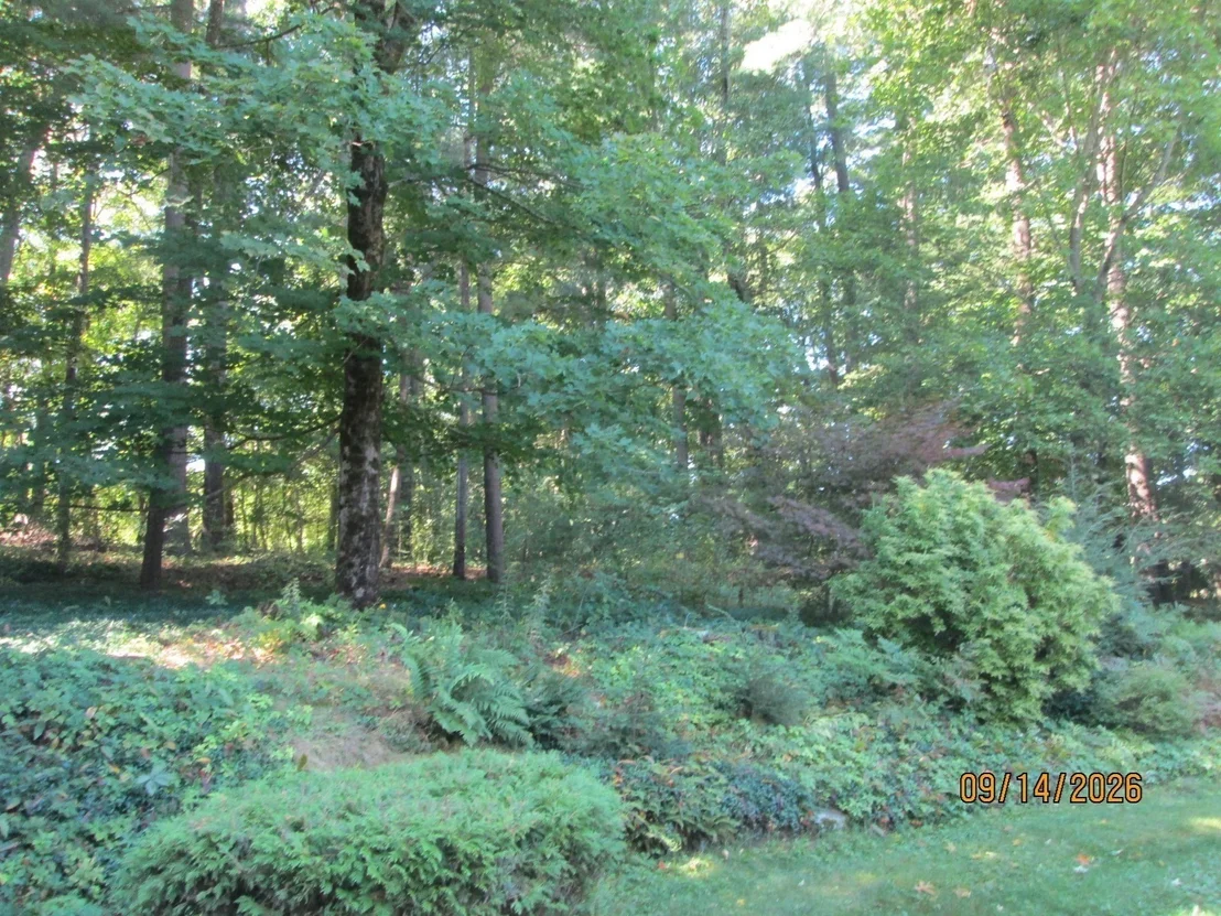 Photo of 9 Lawsbrook