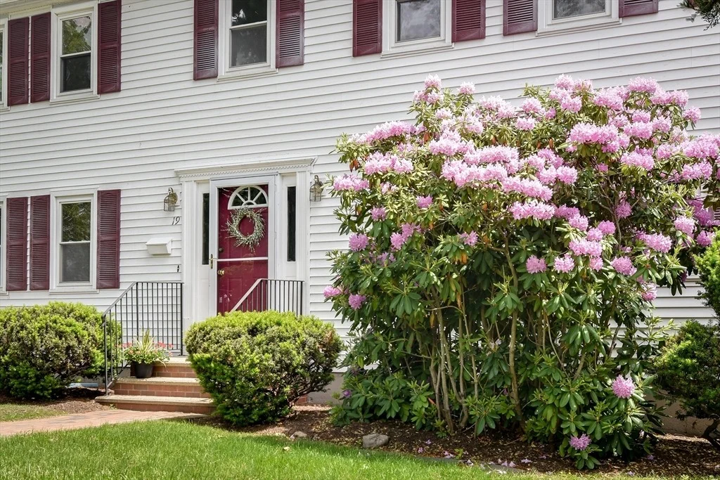 Photo of 19 Swanson Road