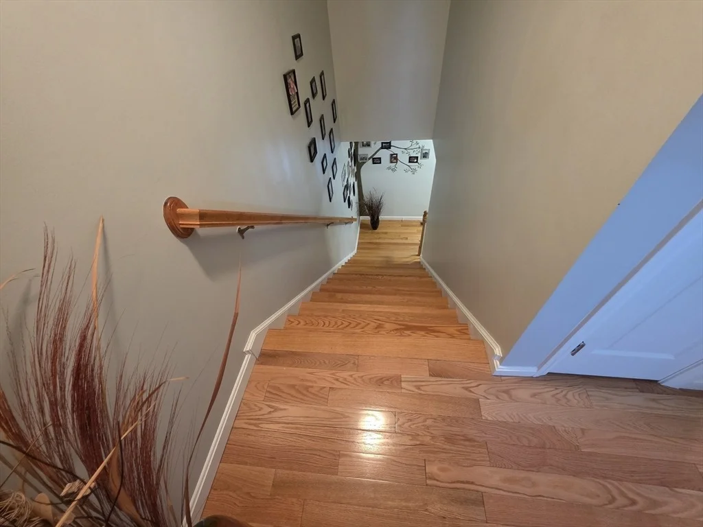 Photo of 229 Concord Street