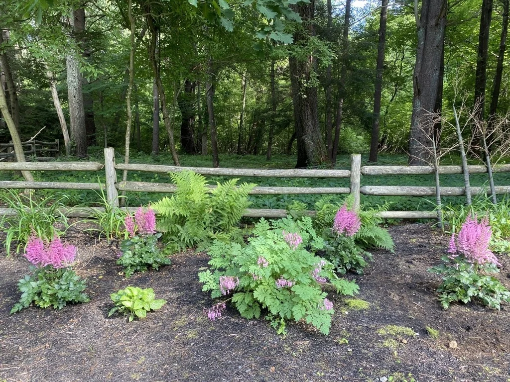 Photo of 11 Hemlock