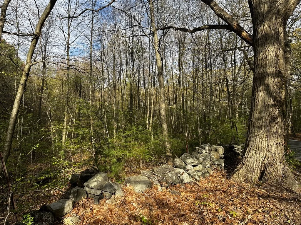Photo of 27 Pleasant St. Lot 1