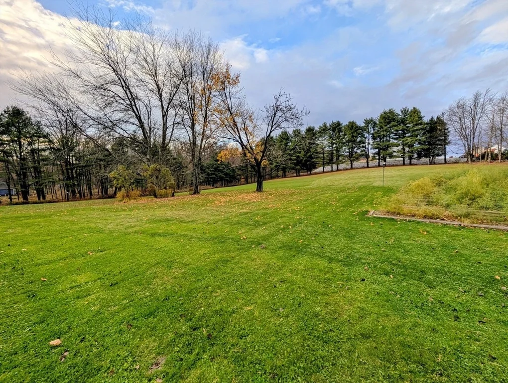 Photo of 216 Brookfield Rd